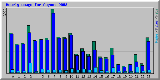 Hourly usage for August 2008